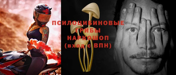 ГАЛЛЮЦИНОГЕННЫЕ ГРИБЫ Няндома