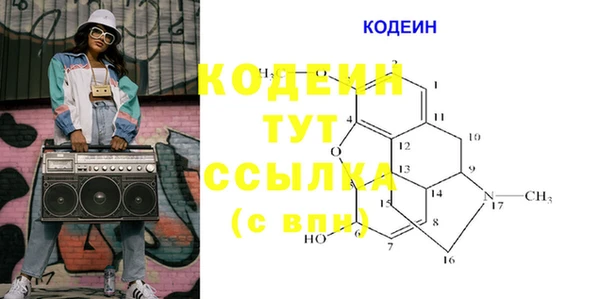 ГАЛЛЮЦИНОГЕННЫЕ ГРИБЫ Няндома