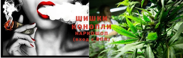 индика Шали