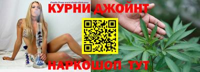 spice Дубна