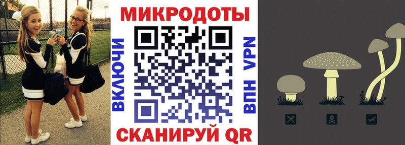 даркнет формула  Луга  Галлюциногенные грибы Psilocybe  мега ССЫЛКА 