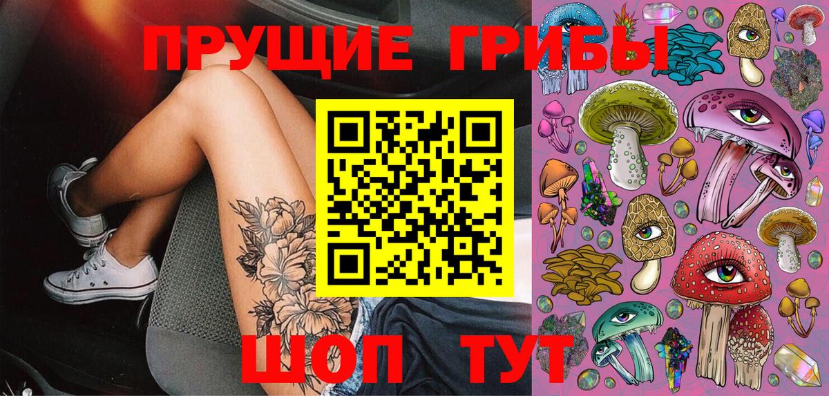 Луга  Псилоцибиновые грибы прущие грибы  Вход с VPN 