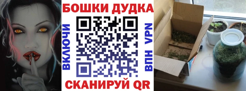 Каннабис Amnesia Луга